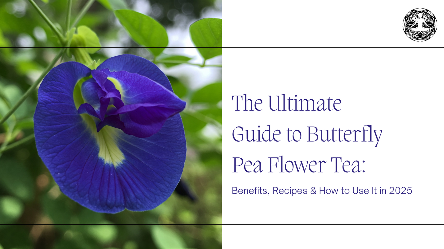 The Ultimate Guide to Butterfly Pea Flower Tea: Benefits, Recipes & How to Use It in 2025
