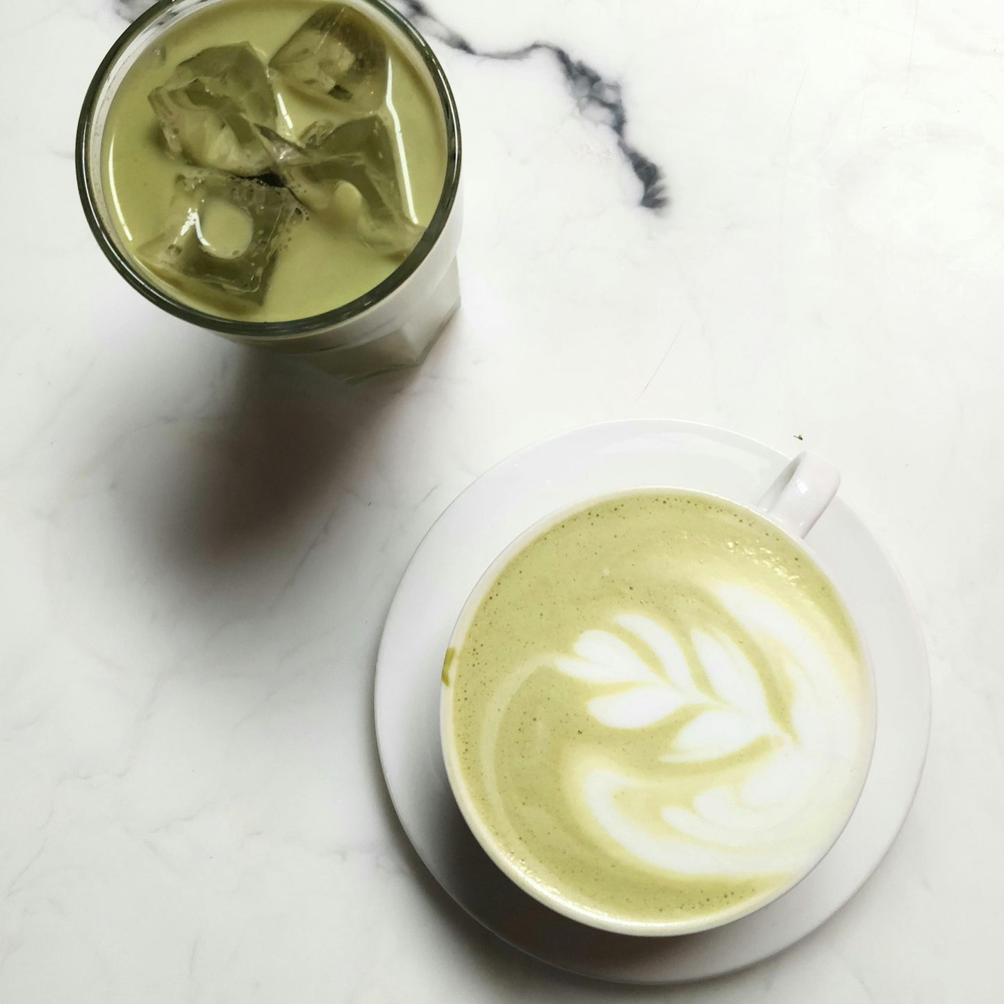 UNLOCK THE WORLD OF PLANT-BASED BEVERAGES: ARE HERBAL TEAS TRULY PLANT-BASED?