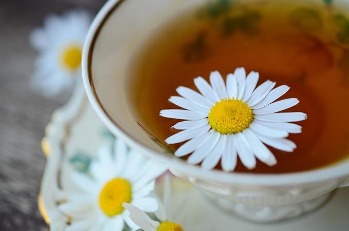 Chamomile flower in a cup full of chamomile tea