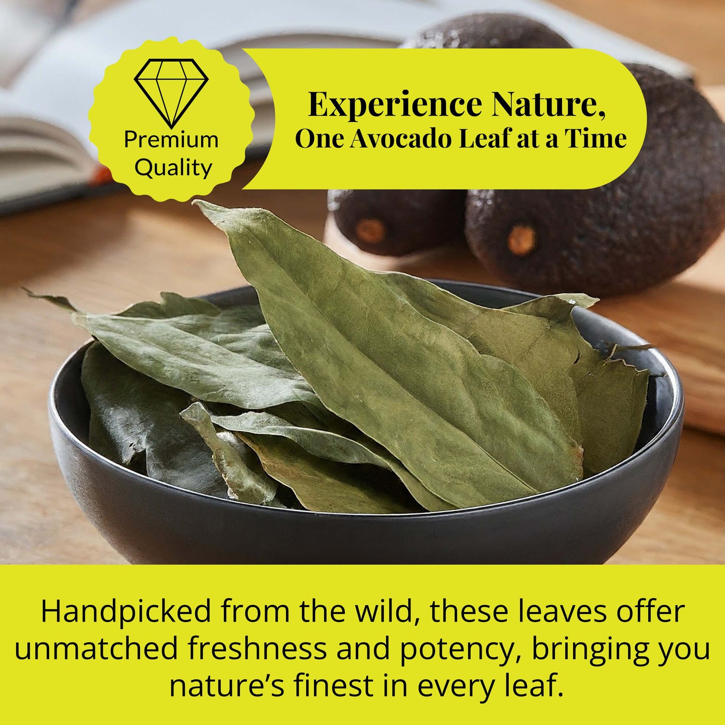 Premium quality avocado leaves : Experience Nature, One Avocado Leaf a a time.
Handpicked from the wild, these leaves offer unmatched freshness and potency, bringing you nature's finest in every leaf.