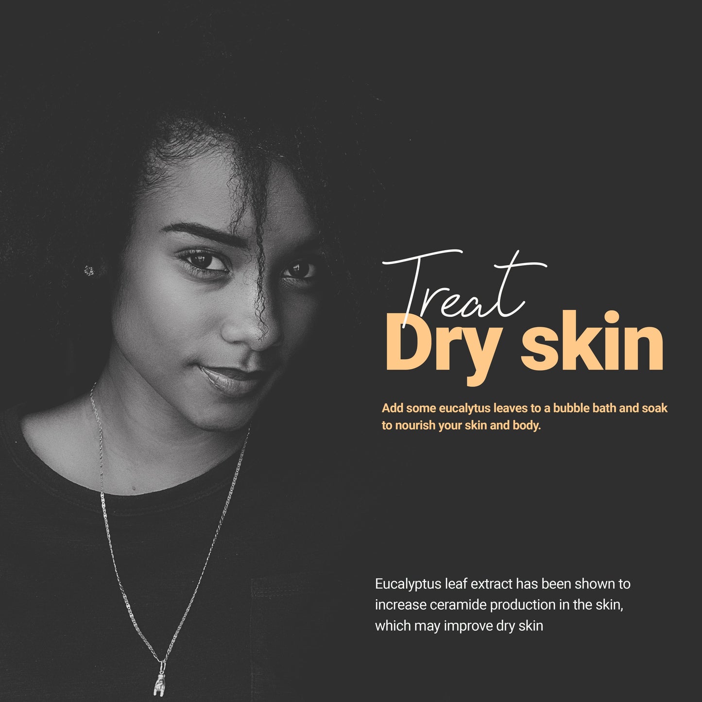 Dried Eucalyptus leaves 2.6 ((hojas de eucalipto) Treat Dry Skin Add some eucalyptus leaves  to a bubble bath and so
