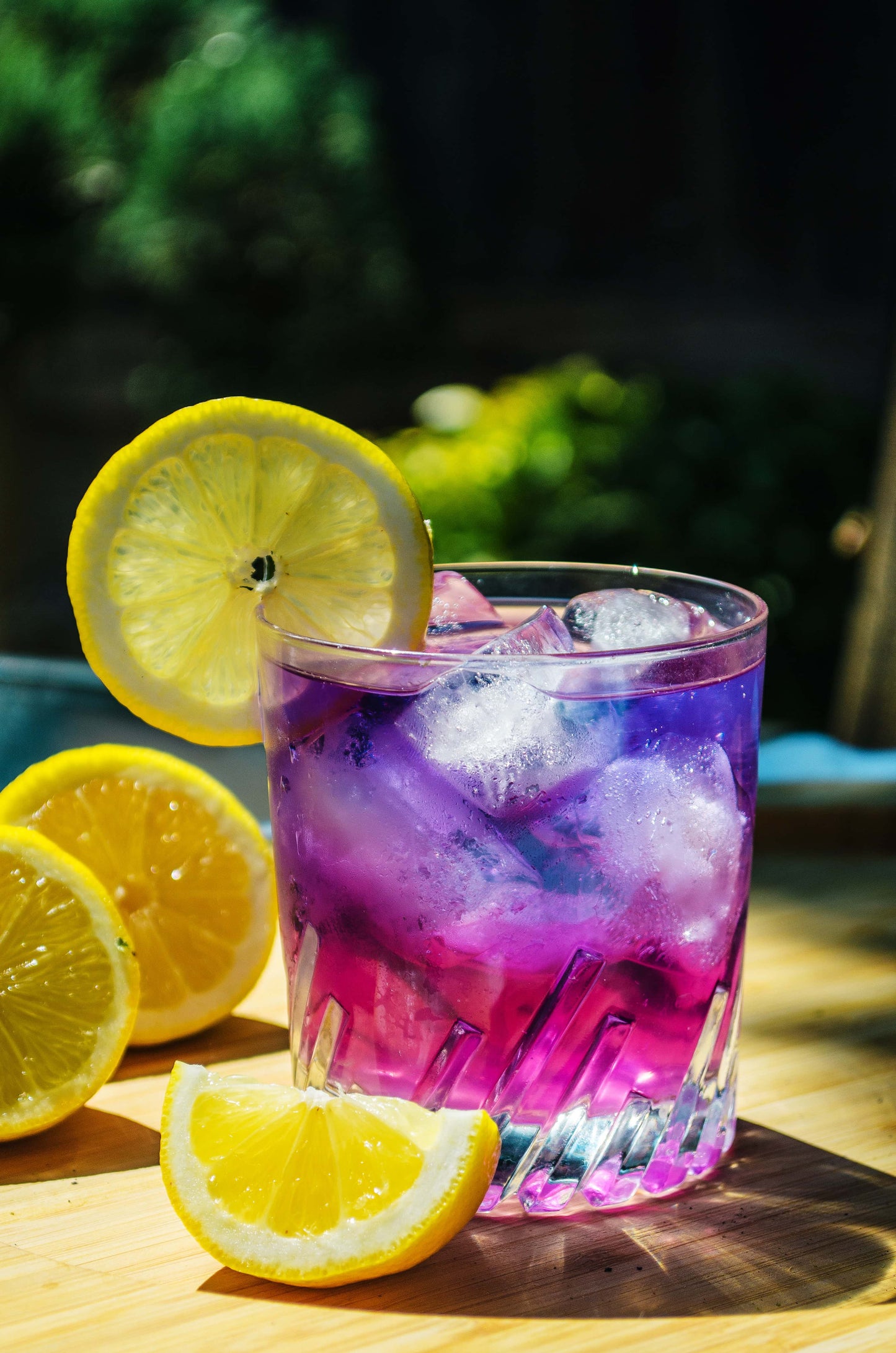 Butterfly Pea Flower Tea, Best herbal tea for your health