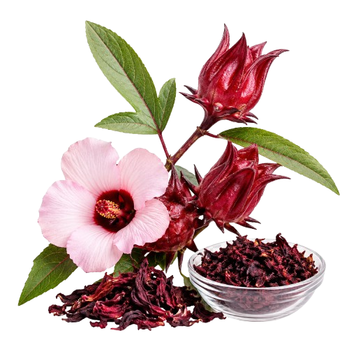 Dried Hibiscus Blossoms: 10 Powerful Ways to Enjoy This Vibrant Herbal Ingredient