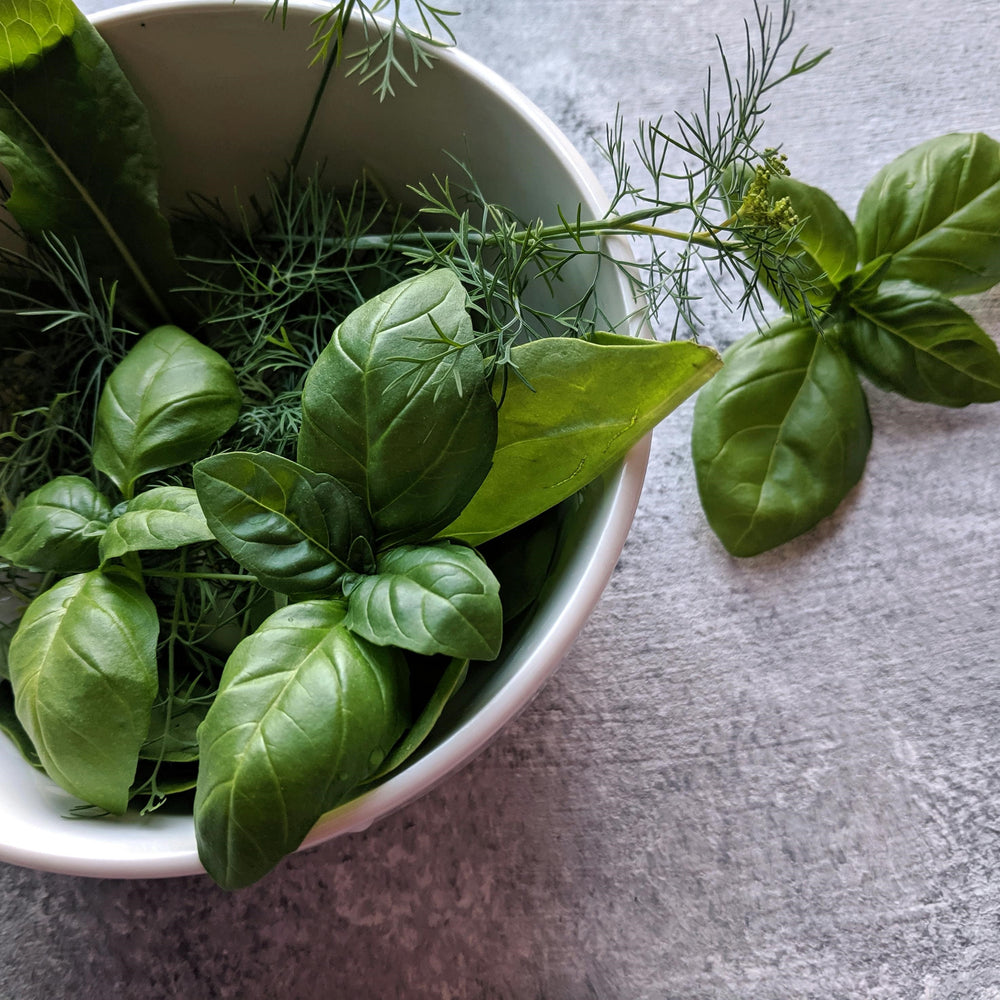 Unveiling the Global Tapestry of Dried Loose-Leaf Herbs in Cuisine