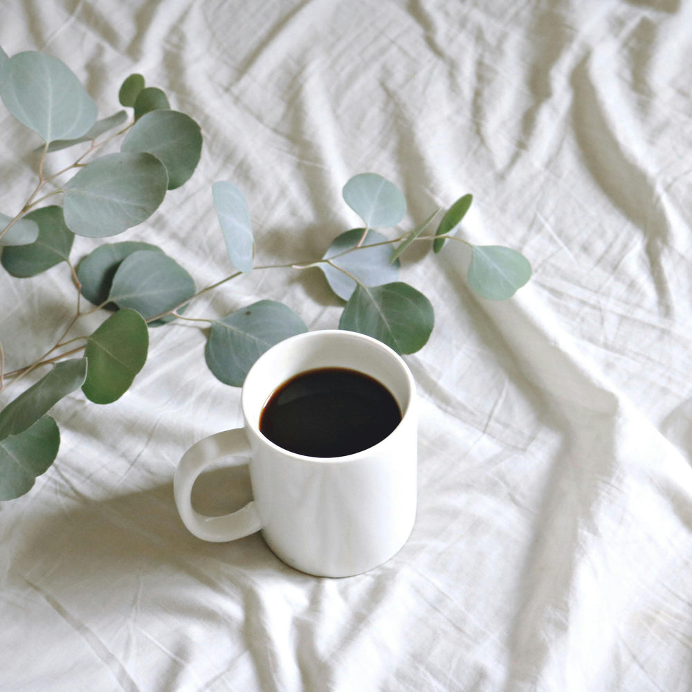 Exploring the Benefits and Considerations of Eucalyptus Tea and Eucalyptus Leaves