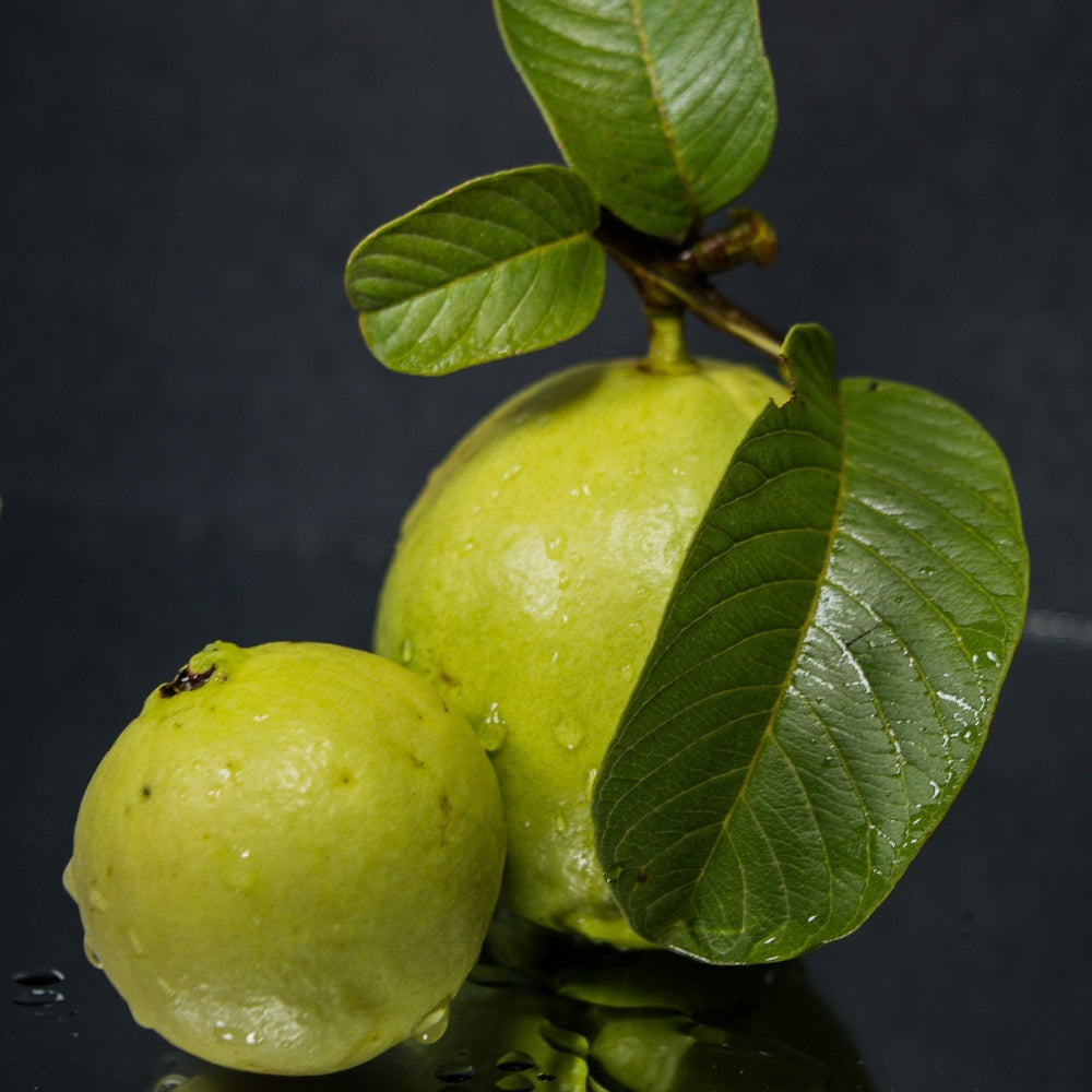 Discover the Amazing Health Benefits of Guava Leaves