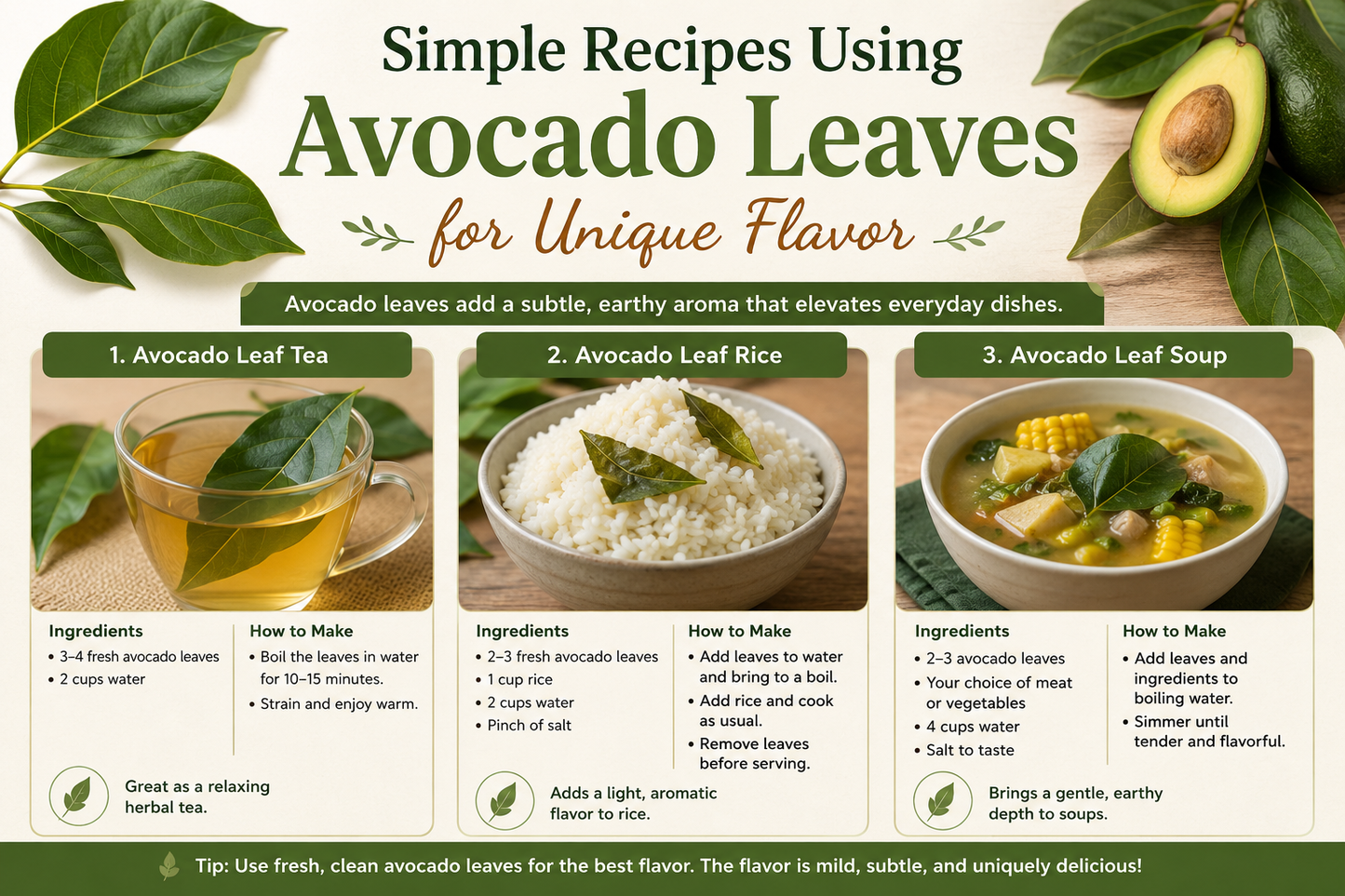 Simple Recipes Using Avocado Leaves for Unique Flavor: 9 Powerful Idea â€“ Akshit