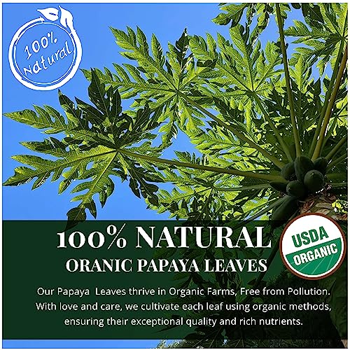 
                  
                    Organic Papaya Leaves, Herbal Tea, 5.2oz,  Papaya Leaf Tea, Non-GMO, All Natural Leaves, Caffeine-Free,  Vegan, Gluten-Free By Akshit
                  
                