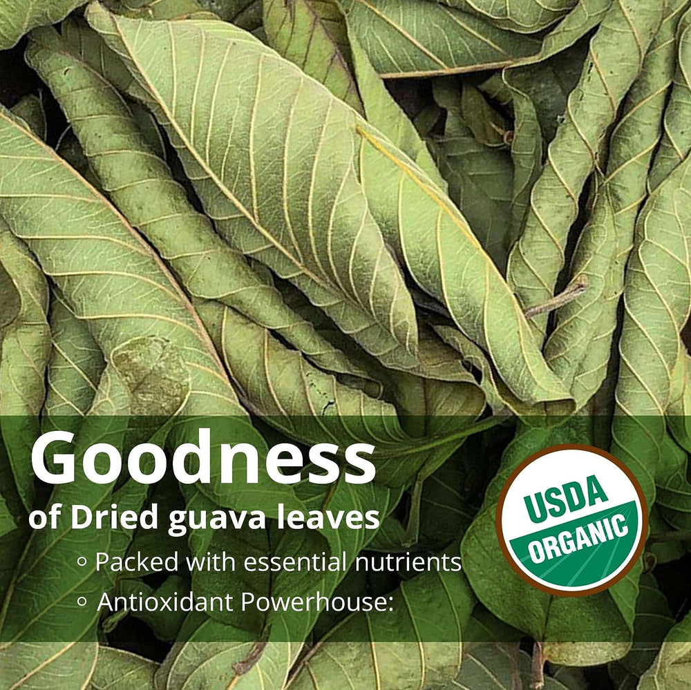 
                  
                    Guava Leaves are rich in antioxidants, vitamins, iron, potassium
                  
                