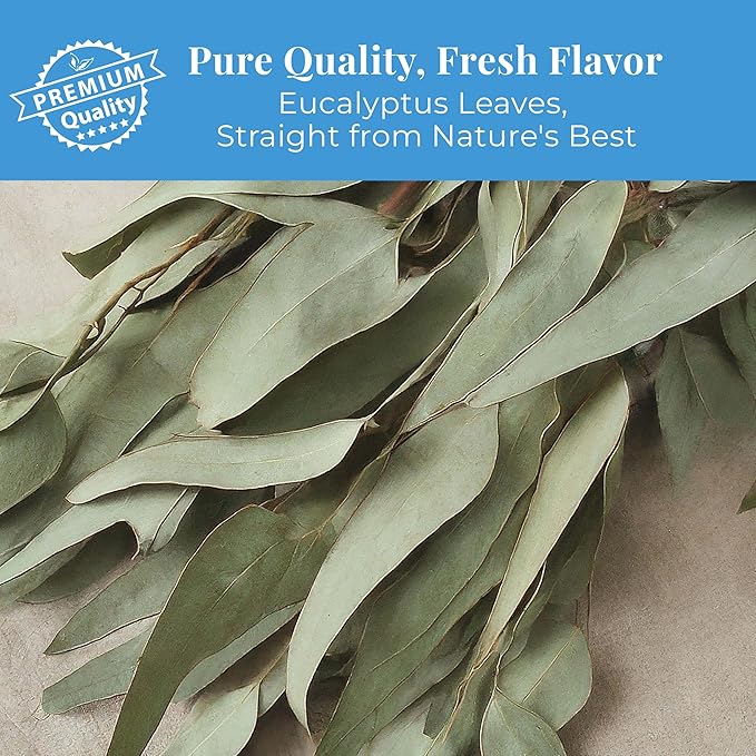 
                  
                    pure qualty fresh flavour Eucalyptus leaves for te de eucalipto
                  
                