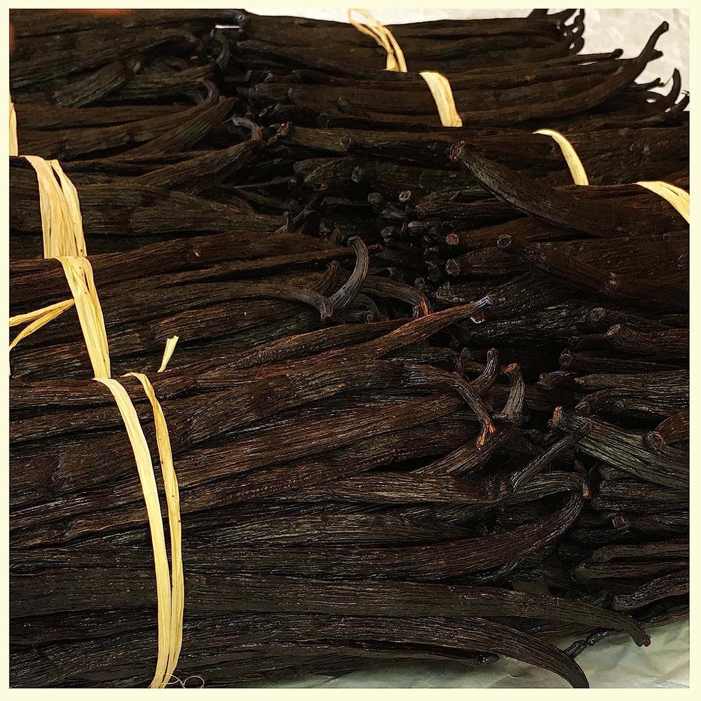 Vanilla Beans - Order Now! Gourmet Vanilla bean Pods - For Restaurants and Home Baking - vanilla beans grade a 