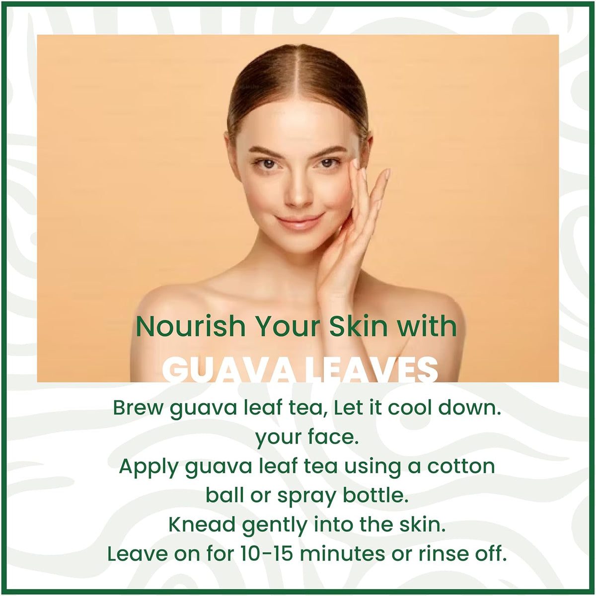 guava leaf benefits for skin natural skincare using guava leaf tea for glowing skin DIY face treatment with herbal guava leaves.

Nourish your skin with Guava leaves.
Brew guava leaf tea, let it cool down your face