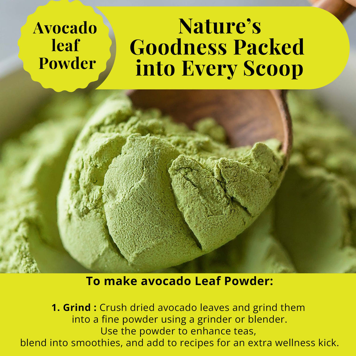avocado leaf powder finely ground natural herbal powder made from dried avocado leaves for tea smoothies and cooking wellness uses
