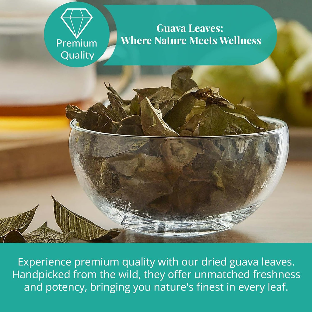 dried guava leaves premium quality loose leaf herbal tea natural handpicked guava leaves for wellness caffeine free vegan non GMO.

Guava Leaves: Where Nature Meets Wellness

Experience premium quality with our dried guava leaves. Handpicked from the wild, they offer unmatched freshness and potency, bringing you nature's finest in every leaf. 