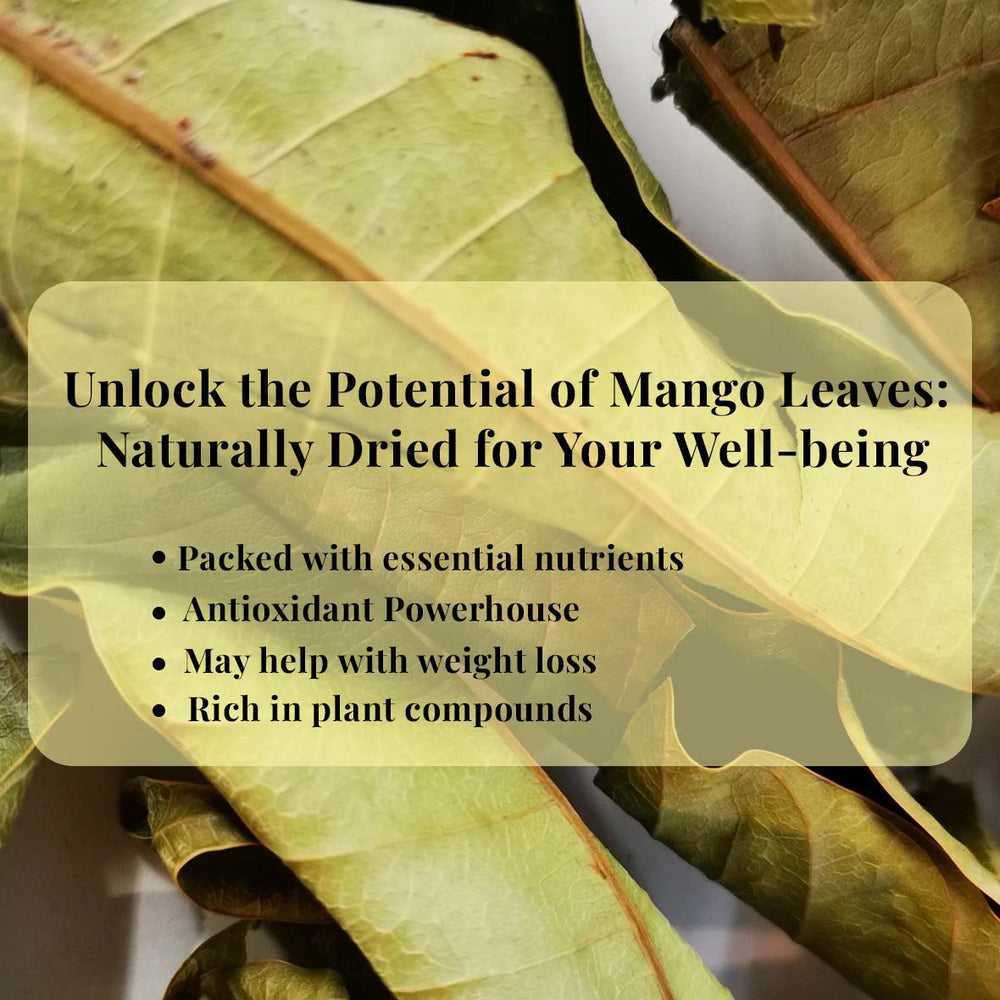 
                  
                    Unlock the Pontential of mango leaves : Naturally Dried for Your Well-being  - Packed with essential nutrients - Antioxidant Powerhouse - May help with weight loss - Rich in plant compounds
                  
                