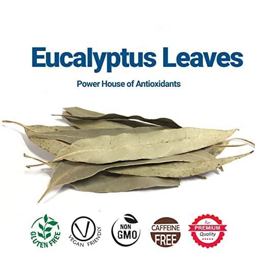 
                  
                    Premium quality dried eucalyptus leaves ((hojas de eucalipto) )
                  
                