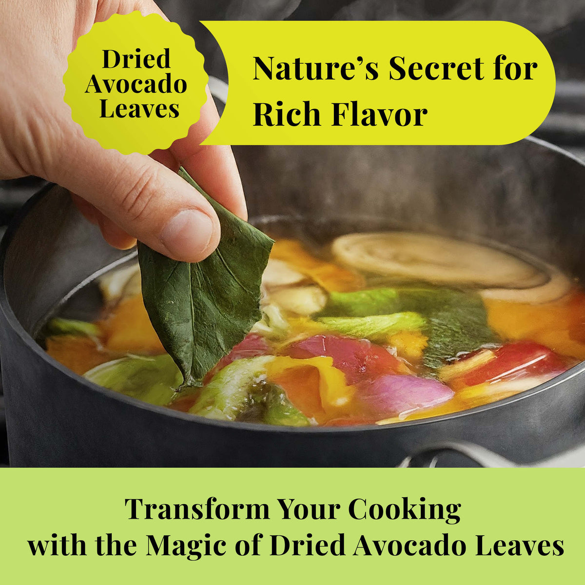 dried avocado leaves used in cooking adding flavor to soup natural herbal leaves for seasoning and traditional recipes