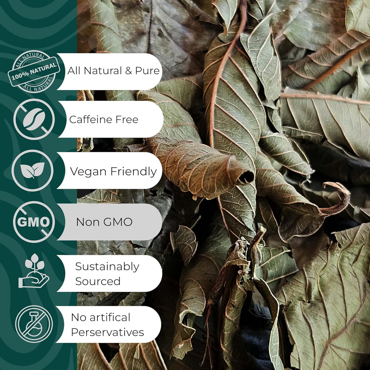 dried guava leaves 100% natural caffeine free vegan non GMO loose leaf herbal tea sustainably sourced no artificial preservatives.

- All Natural & Pure.
- Caffeine Free.
- Vegan Friendly .
- Non GMO.
- Sustainably sourced.
- No artifical Perservatives.