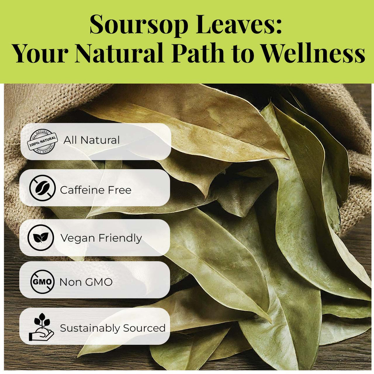 Close-up of Akshit dried soursop leaves (graviola leaves) with natural leaf texture and herbal tea product features.