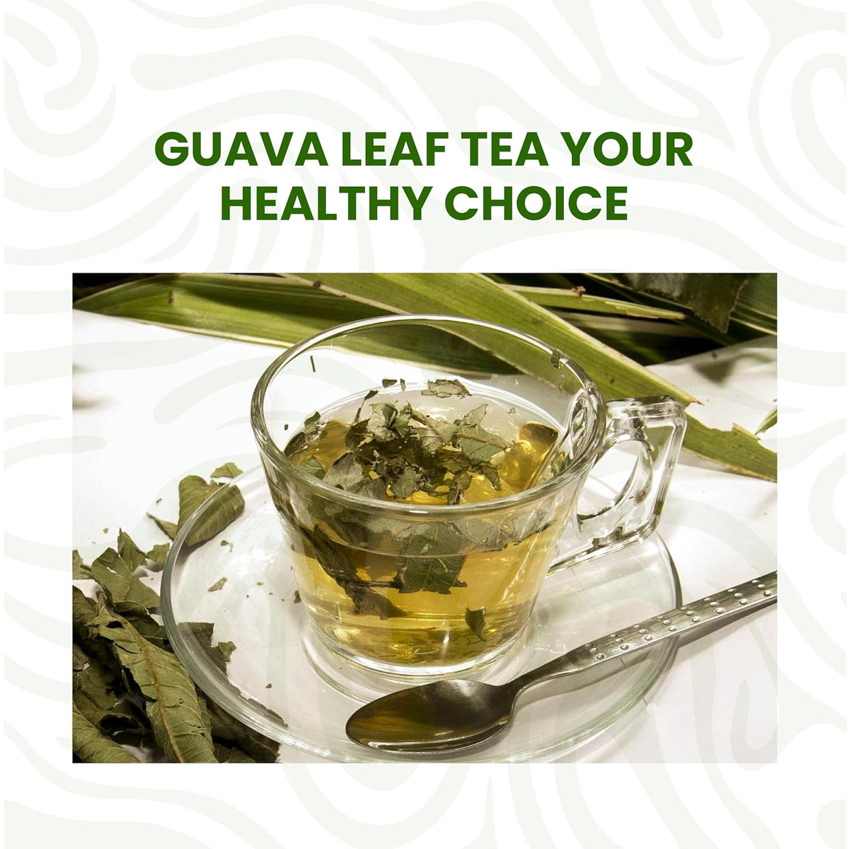 guava leaf tea in glass cup healthy herbal tea made from dried guava leaves natural caffeine free drink for digestion and wellness