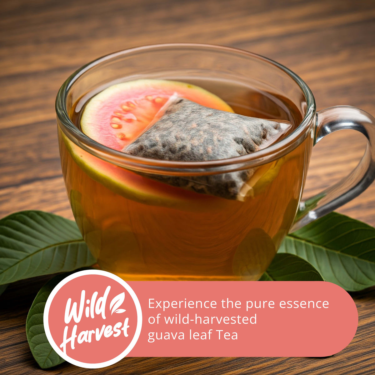 Guava leaf tea in glass cup with tea bag and fresh guava slice, showcasing wild harvested herbal tea experience.

Wild Harverst : Experience the pure essence of wid-harvested guava leaf Tea