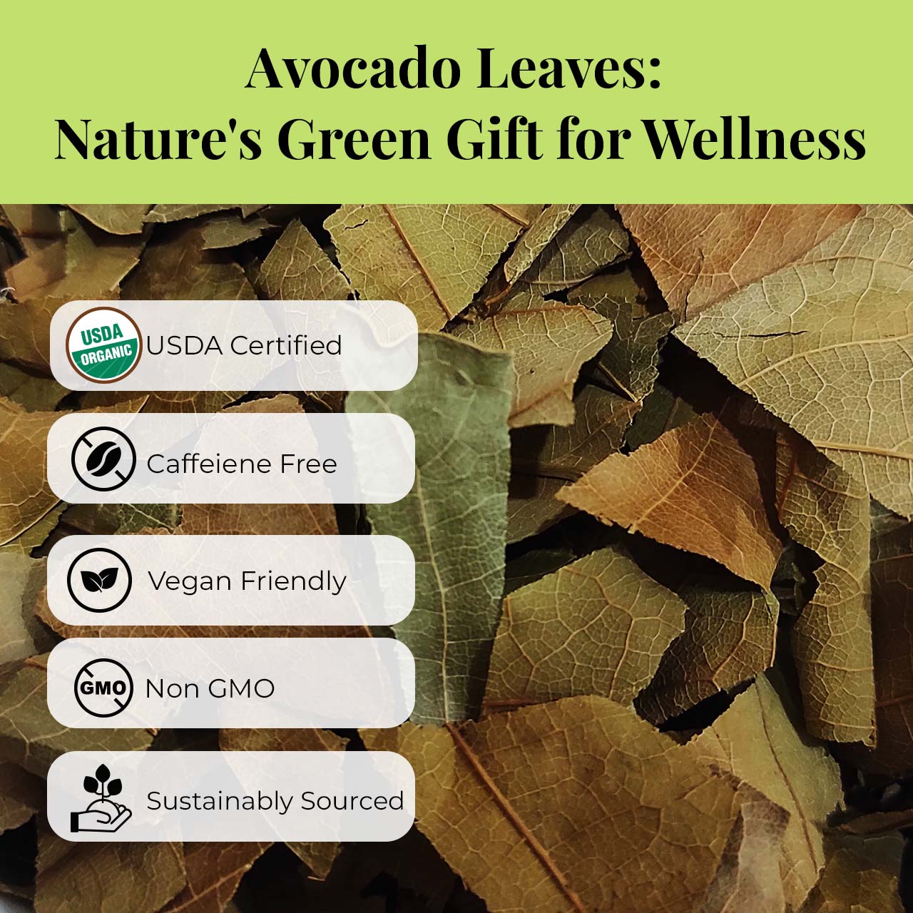 
                  
                    Akshit  Dried Avocado Leaves, Hoja De Aguacate, Organic Avocado Tea, 2.6oz, Natural Avocado Leaf Tea, Caffeine free, No-GMO, Gluten free.
                  
                