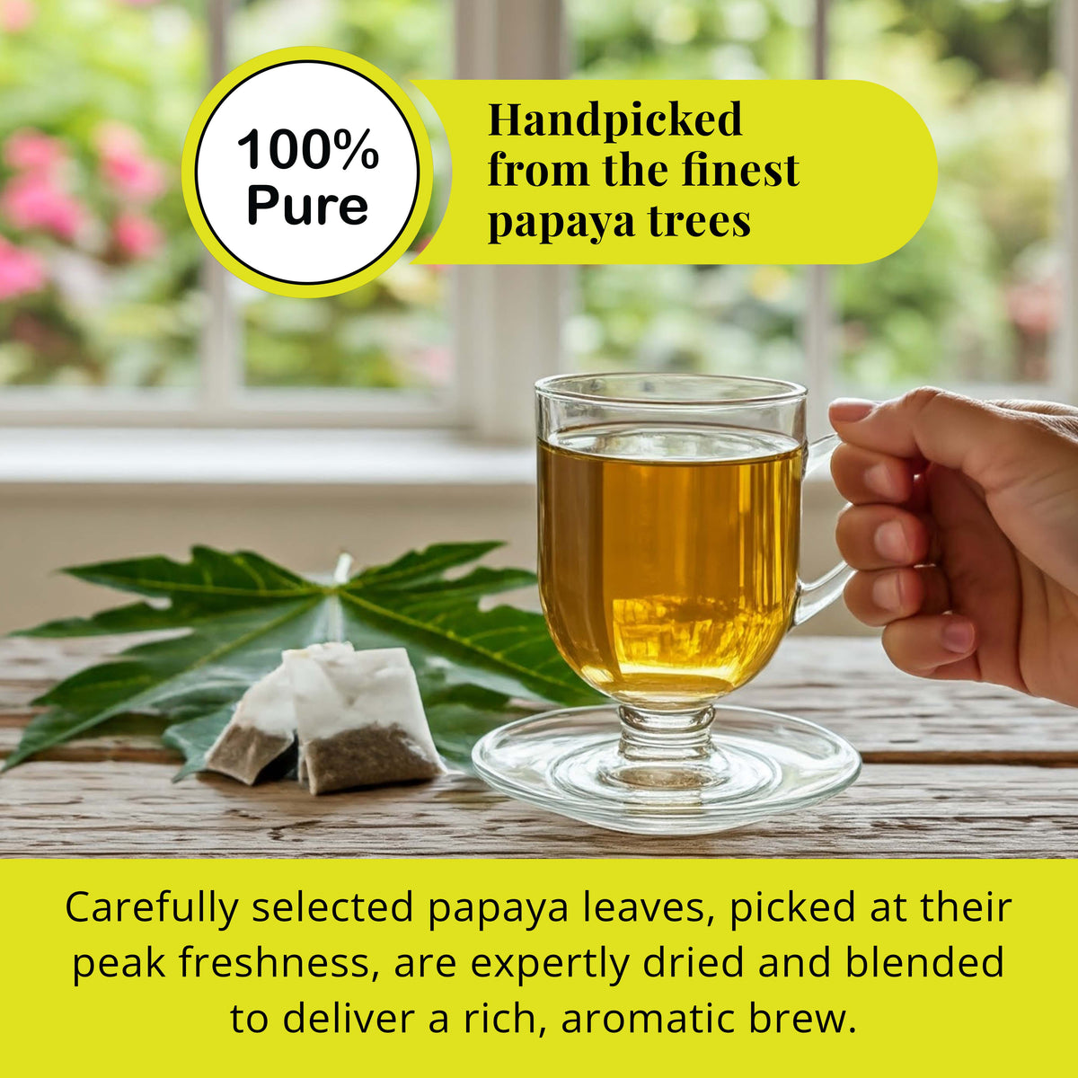 Papaya leaf tea in glass cup handpicked natural herbal tea with tea bags promoting wellness digestion and fresh aromatic flavor