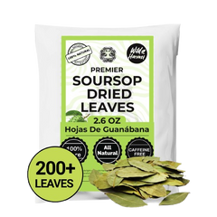 Soursop Leaves (Graviola) — Wholesale