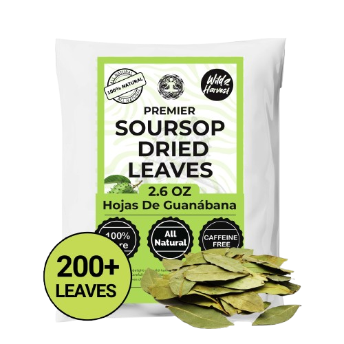 200+ Whole Dried Soursop Leaves – 2.6 oz , 100% Natural Soursop Tea (Graviola Leaves), Caffeine-Free Herbal Tea (Hoja Guanabana)