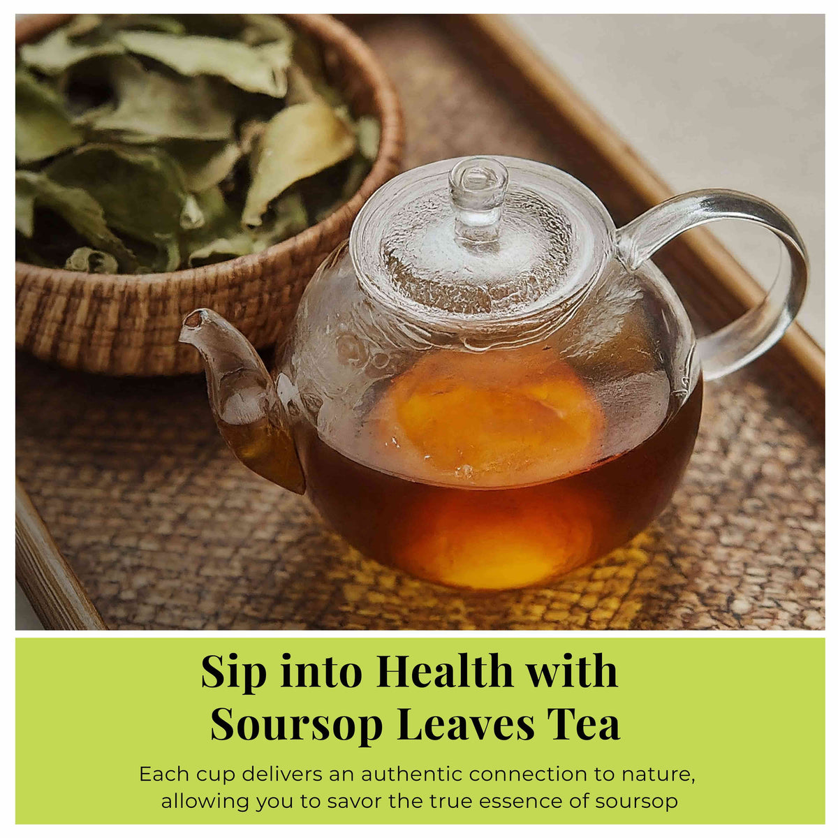 Akshit Soursop Leaf Herbal Tea brewed in a clear glass teapot with dried soursop leaves, showing the golden herbal infusion.