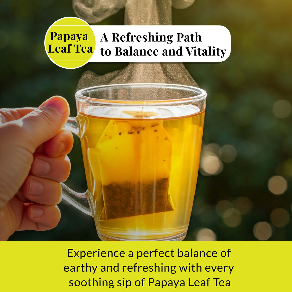 Papaya leaf tea in glass cup with tea bag soothing herbal drink promoting balance vitality wellness and natural health benefits