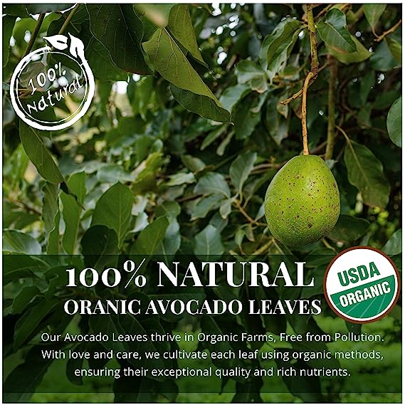 
                  
                    Akshit Organic Dried Avocado Leaves are all that signify natures’ gifted herbs that contain minerals like immune boosting, bone-strengthening  and  balancing acidity
                  
                