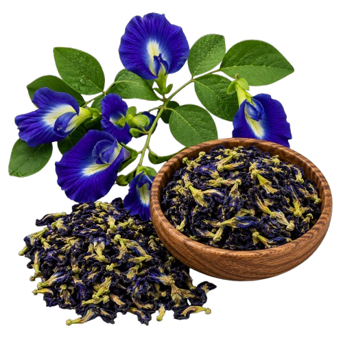 Butterfly Pea Flower