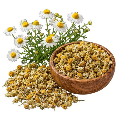 Chamomile