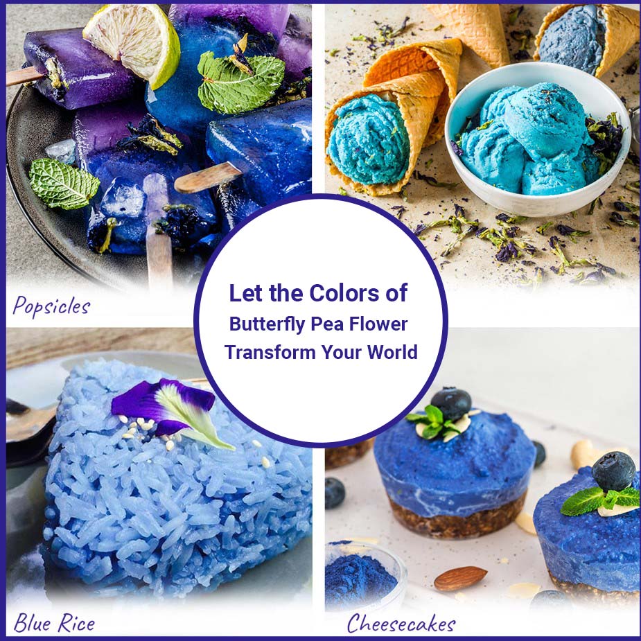 
                  
                    Let the colors of Butterfly Pea Flower. Transform Your World. - Popsicles - Blue Rice - Cheesecakes
                  
                