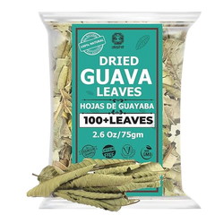 Guava Leaves — Wholesale