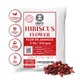 Hibiscus Flowers