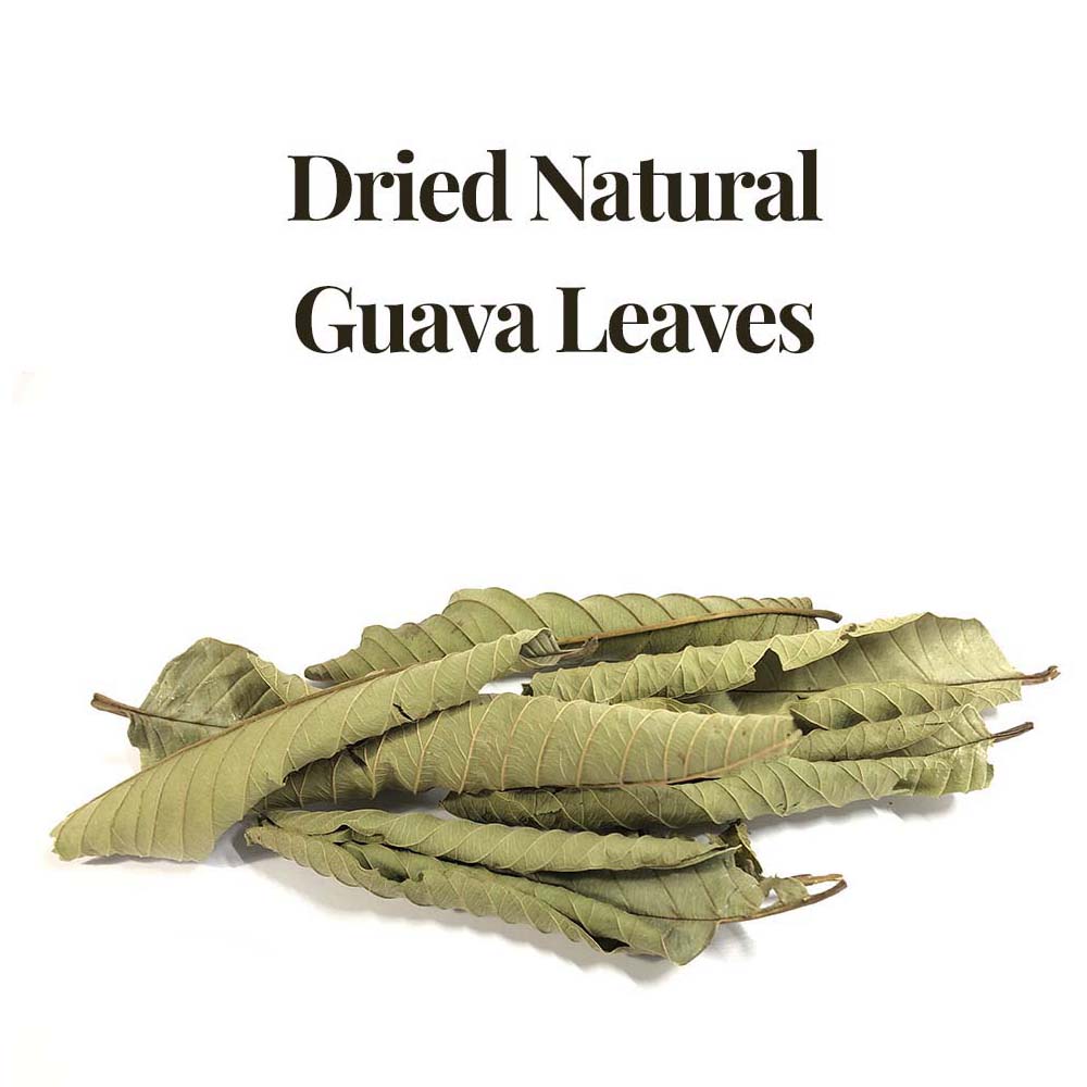 dried natural guava leaves