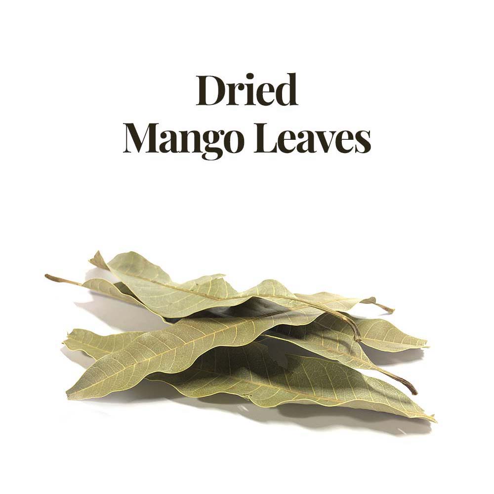 dried mango leaves