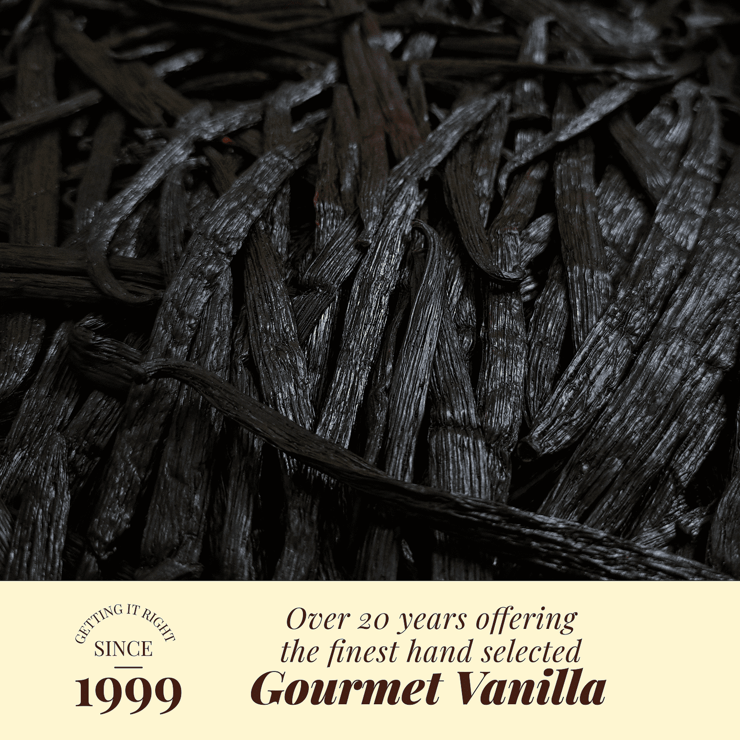 
                  
                    Whole Bulk Vanilla Beans - Order - NON GMO Gourmet Pods 5 - 8 Inches For making Baking Whole Premium Vanilla Beans Grade A  by New York Vanilla
                  
                