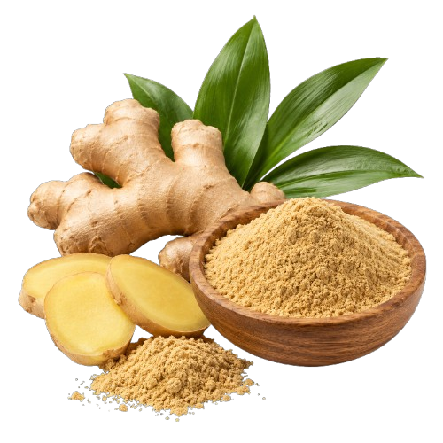 Ginger