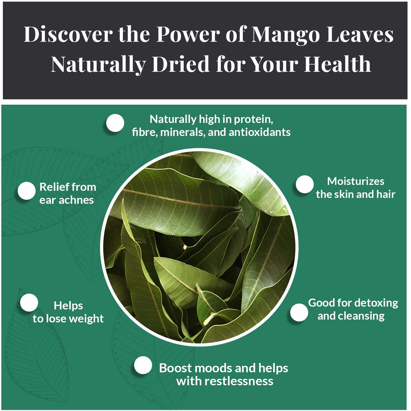 
                  
                    Discover the Power of Mango leaves Naturally dried for Your Health. - Naturally high in protein, fibre, minerals, and antixidants. - Moisturizes the skin and hair - Good for detoxing and cleansing - Boost moods and helps with restlessness - Helps to lose weight - Relief from ear achnes
                  
                