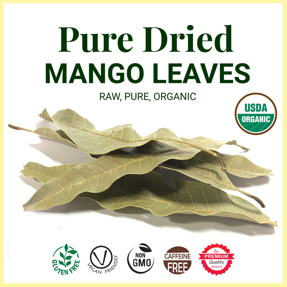 
                  
                    Pure Dried Mango Leaves  are USDA ORGANIC - GLUTEN FREE - VEGAN FRIENDLY - NON GMO - CAFFEINE FREE - PREMIUM QUALITY 
                  
                