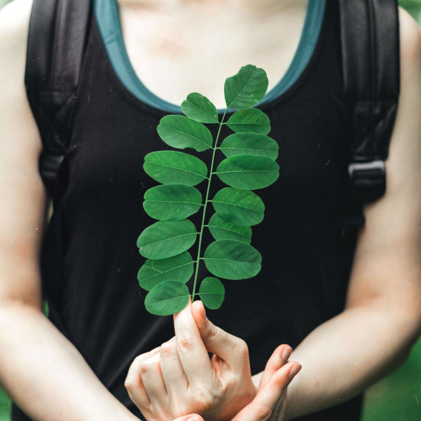 Person holding a green moringa leaf in front of a black tank top