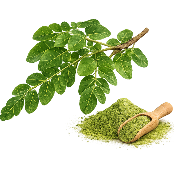 Moringa Leaf