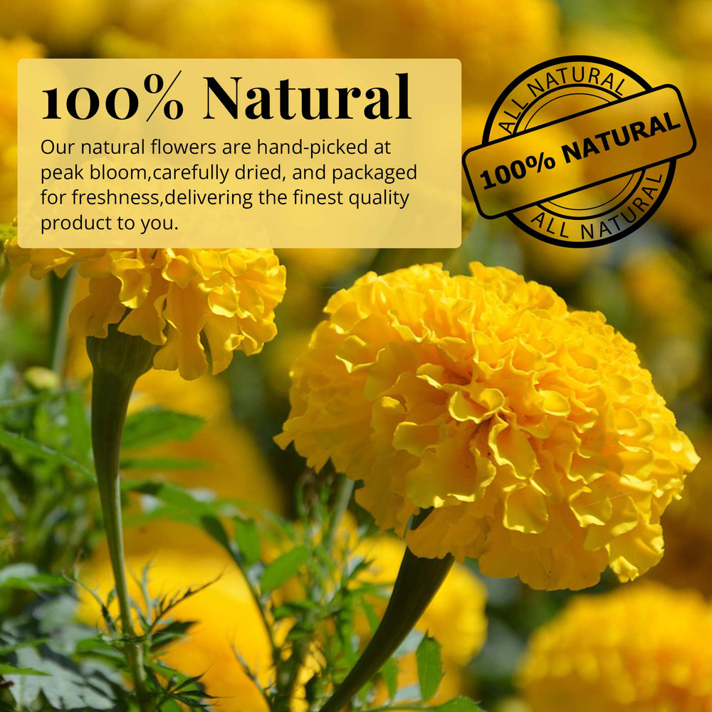 
                  
                    100% natural marigold flower

                  
                