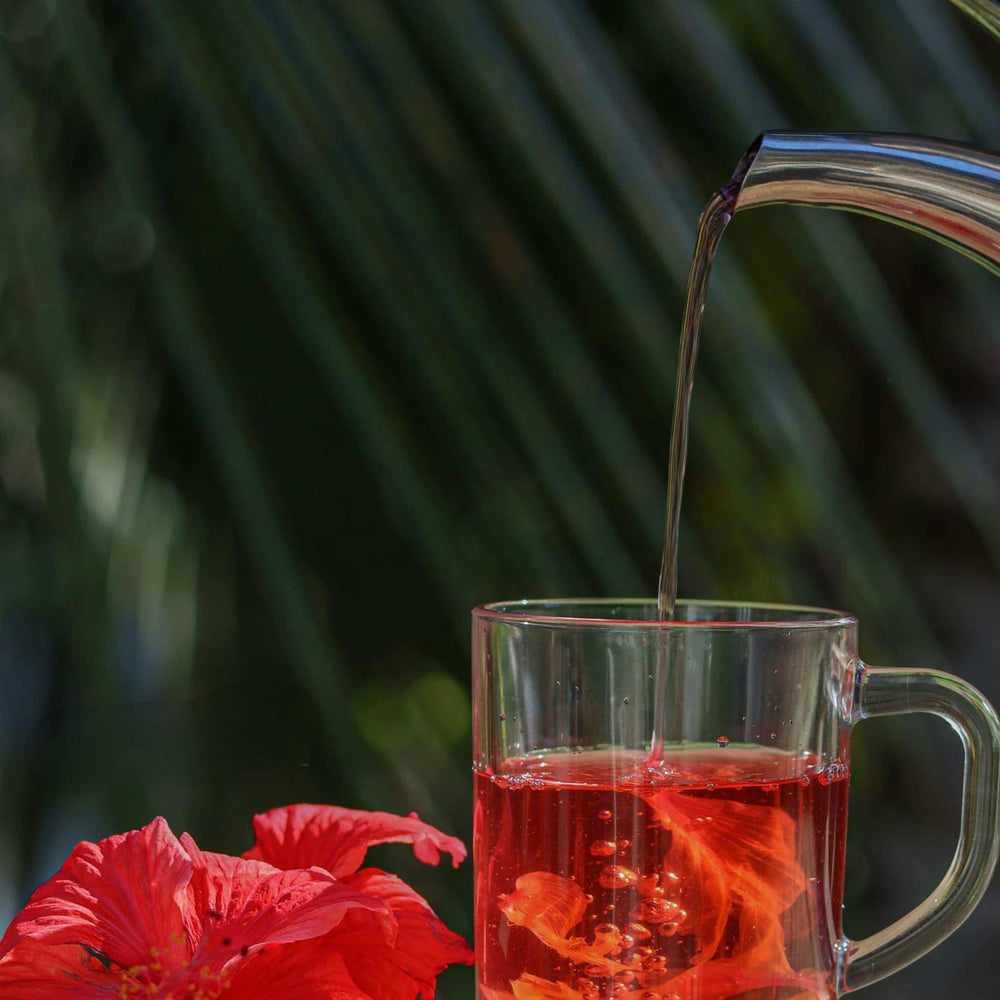 
                  
                    pouring a glass of hibiscus loose leaf tea 
                  
                