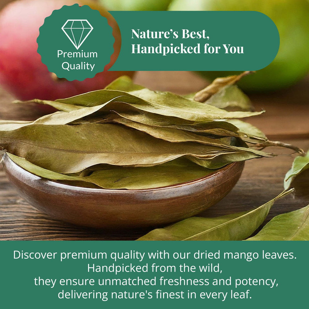 
                  
                    Premium quality fresh mango leaves
                  
                