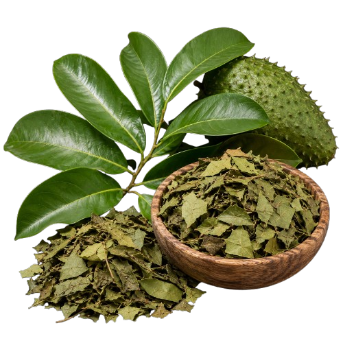 Soursop Leaf