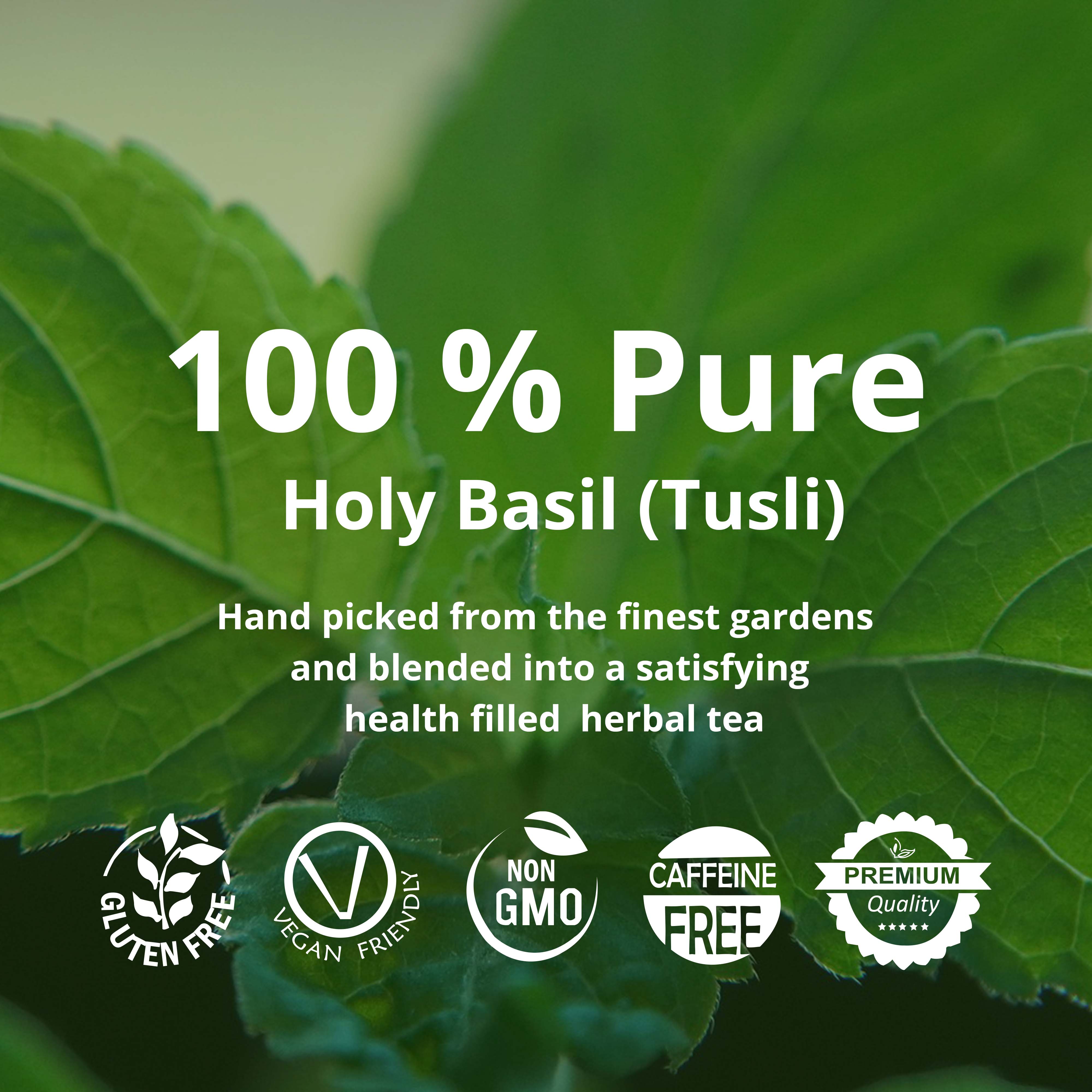 Akshit Organic Holy Basil (Tulsi) Tea75 Tea Bags, Made with Pure Drie